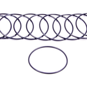 Filter O-Rings (10)