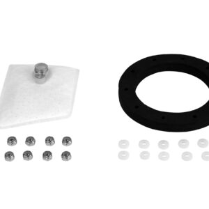 Replacement Strainer & Gasket for 1831