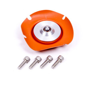 Regulator Service Kit