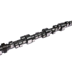 BBC Solid Roller Cam 47S 313R10