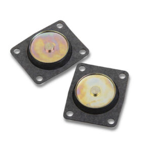 30cc Pump Diaphram (2pk)