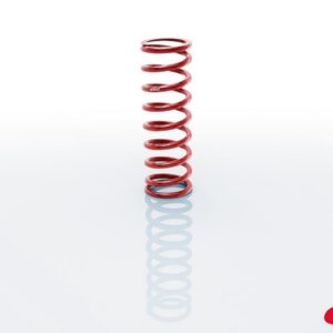 Spring 12in Coil-Over 3.0in ID Silver