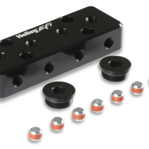 EFI Vacuum Manifold - w/12 1/8npt Ports