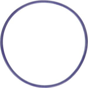 Water Pump Gasket 11-24 Ford 5.0L