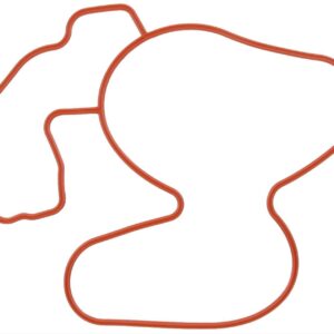 Water Pump Gasket 05-21 Hemi 5.7L