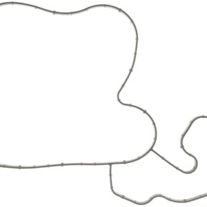 Water Pump Gasket 14-22 Hemi 6.4L