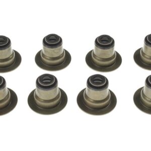 Int Vlv Stm Oil Seal Set 99-14 Chevy LS