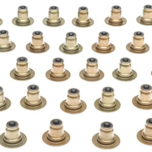 Valve Stem Oil Seal Set 18-24 Ford 5.0L