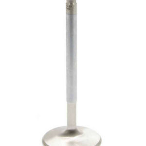 SBC R/F 1.600in Exhaust Valve