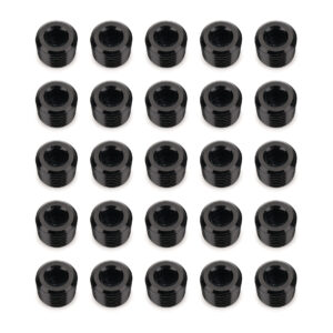 1/4in NPT Socket Head Pipe Plug 25/pkg Black