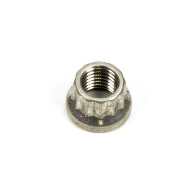 S/S 12pt. Nut - 5/16-24 (1)