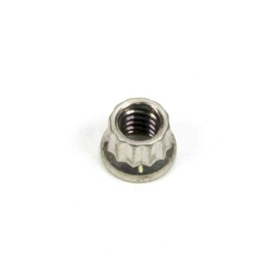 S/S 12pt. Nut - 1/4-20 (1)