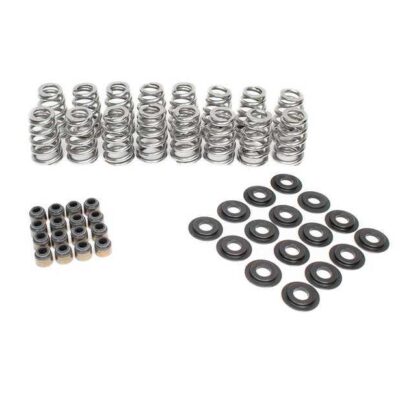 Beehive Valve Spring Kit .625