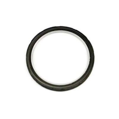 LS Rear Main Seal