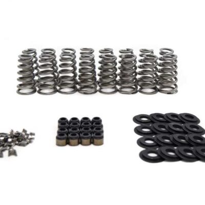 LT1/L86 Conical Spring Kit .650in Lift
