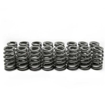LS6 Beehive Springs .560 Lift (16)