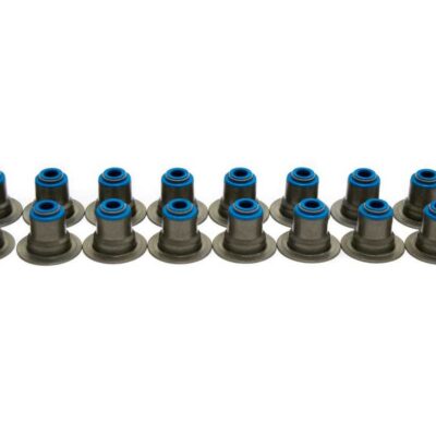 Valve Seal Set of 16 2001+ LS