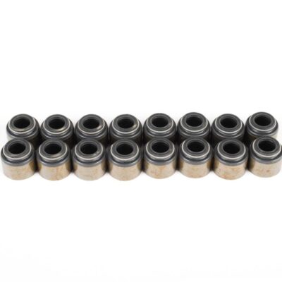LS Valve Seal Kit