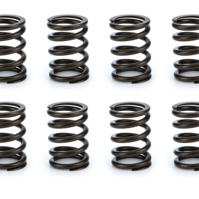 Valve Spring Set