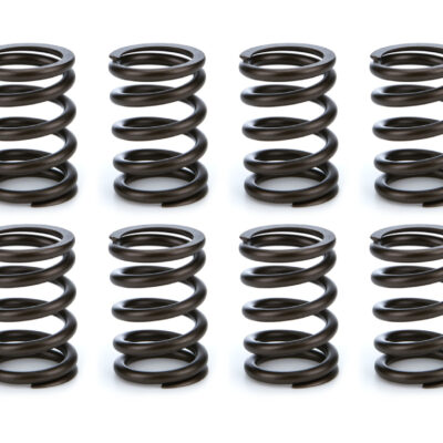 Valve Spring Set
