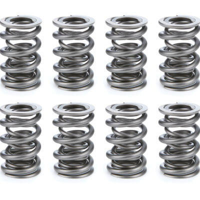Valve Spring Set