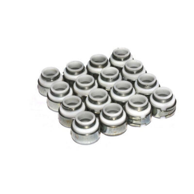Teflon Valve Seals - 5/16