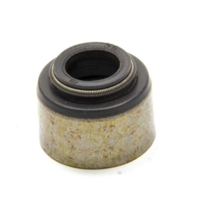 Valve Stem Oil Seal - SBC LT4