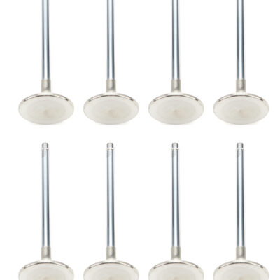 SBC 1.625 SD Exhaust Valves 5/16 5.640 OAL