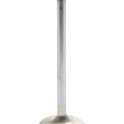 BBC E/D 1.880in Exhaust Valve